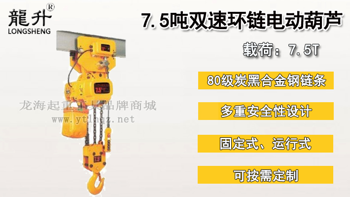 7.5噸雙速環(huán)鏈電動(dòng)葫蘆圖片